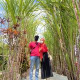 (Category: ) located in . Submitted by ketyyy (Listing ID 1384913358, Image 1). Description: .