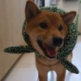 (Category: ) located in . Submitted by declutter987 (Listing ID 1294568331, Image 1). Description: .