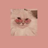 (Category: ) located in . Submitted by hellolim._. (Listing ID 1373772798, Image 1). Description: .