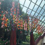 (Category: ) located in . Submitted by woodpark (Listing ID 1334160948, Image 1). Description: .
