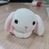(Category: ) located in . Submitted by beibei2609 (Listing ID 1342397945, Image 1). Description: .