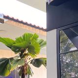 (Category: ) located in . Submitted by hyeraell (Listing ID 1378676153, Image 1). Description: .