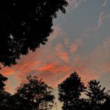 (Category: ) located in . Submitted by pewpewshoo (Listing ID 1138403933, Image 1). Description: .