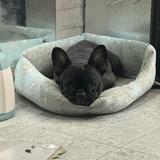 （分類：）位於 。 由 orangegameroom 提交（商品編號 1341763496，圖片 1）。簡介： 。