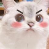 (Category: ) located in . Submitted by lighteden (Listing ID 1376966545, Image 1). Description: .