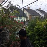 (Category: ) located in . Submitted by fxhmi_ (Listing ID 1453558054, Image 1). Description: .
