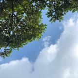 由 sharon101010 (刊登 ID 1380365781，圖片 1) 提交，位於 的 (類別：)，說明：。
