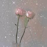 (分類:)位於 。 由 twinklingtwins 提交(商品編號 1454540958,圖片 1)。簡介: 。