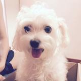 (Category: ) located in . Submitted by wawalove (Listing ID 1373095142, Image 1). Description: .