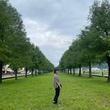由 ehoumaki (刊登 ID 1386754064，圖片 1) 提交，位於 的 (類別：)，說明：。