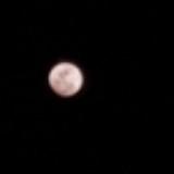 (Category: ) located in . Submitted by jaeteel (Listing ID 1386705609, Image 1). Description: .