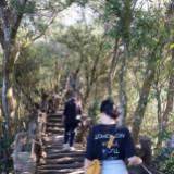 由 merliah97 (刊登 ID 1381178546，圖片 1) 提交，位於 的 (類別：)，說明：。