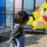 由 yilika (刊登 ID 1384241483，圖片 1) 提交，位於 的 (類別：)，說明：。