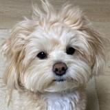 (Category: ) located in . Submitted by helpmemoveout (Listing ID 1366573096, Image 1). Description: .