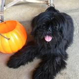 (Category: ) located in . Submitted by mommyvickky (Listing ID 1137752738, Image 1). Description: .