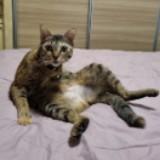 (Category: ) located in . Submitted by cherylzie (Listing ID 1373513077, Image 1). Description: .