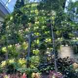 (Category: ) located in . Submitted by fourleaf888 (Listing ID 1379459905, Image 1). Description: .