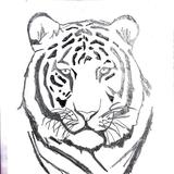 (Category: ) located in . Submitted by themeoww (Listing ID 1467980945, Image 1). Description: .