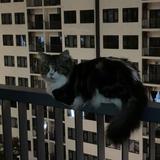 (Category: ) located in . Submitted by benshomey (Listing ID 1407245688, Image 1). Description: .