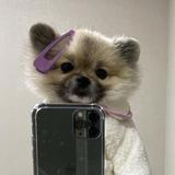 (Category: ) located in . Submitted by chjaem (Listing ID 1381795609, Image 1). Description: .