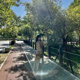 由 wenlough (刊登 ID 1377596891，圖片 1) 提交，位於 的 (類別：)，說明：。