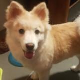 (Category: ) located in . Submitted by bubble.bath (Listing ID 1334228790, Image 1). Description: .
