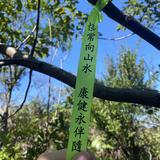 (分類:)位於 。 由 Yinchan 提交(商品編號 1348291204,圖片 1)。簡介: 。