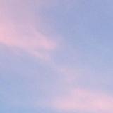(Category: ) located in . Submitted by summersaltt (Listing ID 1348297346, Image 1). Description: .