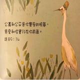（分類：）位於 。 由 hebieland 提交（商品編號 1376720898，圖片 1）。簡介： 。