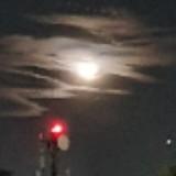 (Category: ) located in . Submitted by misseve (Listing ID 1467906045, Image 1). Description: .