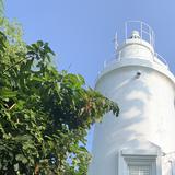 由 amyliu88 (刊登 ID 1355245038，圖片 1) 提交，位於 的 (類別：)，說明：。