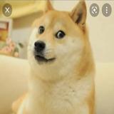 （分類：）位於 。 由 gdsellerhaha 提交（商品編號 1381365546，圖片 1）。簡介： 。