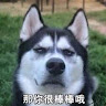由 lily921019 (刊登 ID 1384543936，圖片 1) 提交，位於 的 (類別：)，說明：。