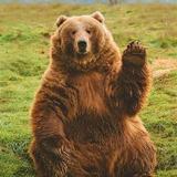 （分類：）位於 。 由 bearx_memos 提交（商品編號 1374563630，圖片 1）。簡介： 。