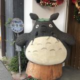 （分類：）位於 。 由 lh.sell 提交（商品編號 1378993847，圖片 1）。簡介： 。