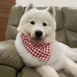 (Category: ) located in . Submitted by 1plus2equal3 (Listing ID 1380434018, Image 1). Description: .
