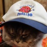 (Category: ) located in . Submitted by yung_frankie (Listing ID 1371240418, Image 1). Description: .