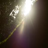 （分類：）位於 。 由 fayewww 提交（商品編號 1325356641，圖片 1）。簡介： 。