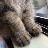 (Category: ) located in . Submitted by ff2400 (Listing ID 1384100234, Image 1). Description: .