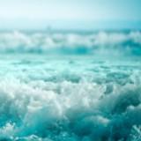 （分類：）位於 。 由 giantocean 提交（商品編號 1156273979，圖片 1）。簡介： 。