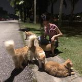 (Category: ) located in . Submitted by booitsbubbles (Listing ID 1378395625, Image 1). Description: .