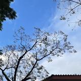 （分類：）位於 。 由 ken_chan223 提交（商品編號 1382844803，圖片 1）。簡介： 。