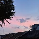 (Category: ) located in . Submitted by 0816whvj (Listing ID 1384645239, Image 1). Description: .