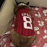 (Category: ) located in . Submitted by carahome (Listing ID 1378216320, Image 1). Description: .