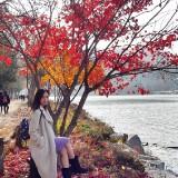 (Category: ) located in . Submitted by noona.nette (Listing ID 1381377326, Image 1). Description: .