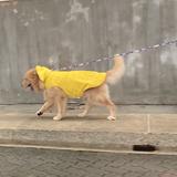 (Category: ) located in . Submitted by occasionalsalesman (Listing ID 1377224375, Image 1). Description: .
