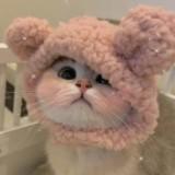 (Category: ) located in . Submitted by 25han_CatAccessories (Listing ID 1382969657, Image 1). Description: .