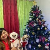 (Category: ) located in . Submitted by julie.navarra15 (Listing ID 1305003801, Image 1). Description: .