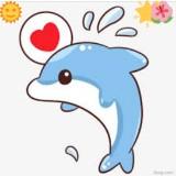 （分類：）位於 。 由 dolphin_mama 提交（商品編號 1283127316，圖片 1）。簡介： 。