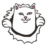 由 xotourli5e (刊登 ID 1348935906，圖片 1) 提交，位於 的 (類別：)，說明：。